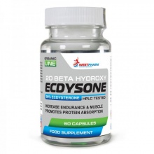  WestPharm Ecdysone 100  60 