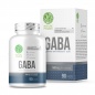  Nature Foods GABA 500  90 